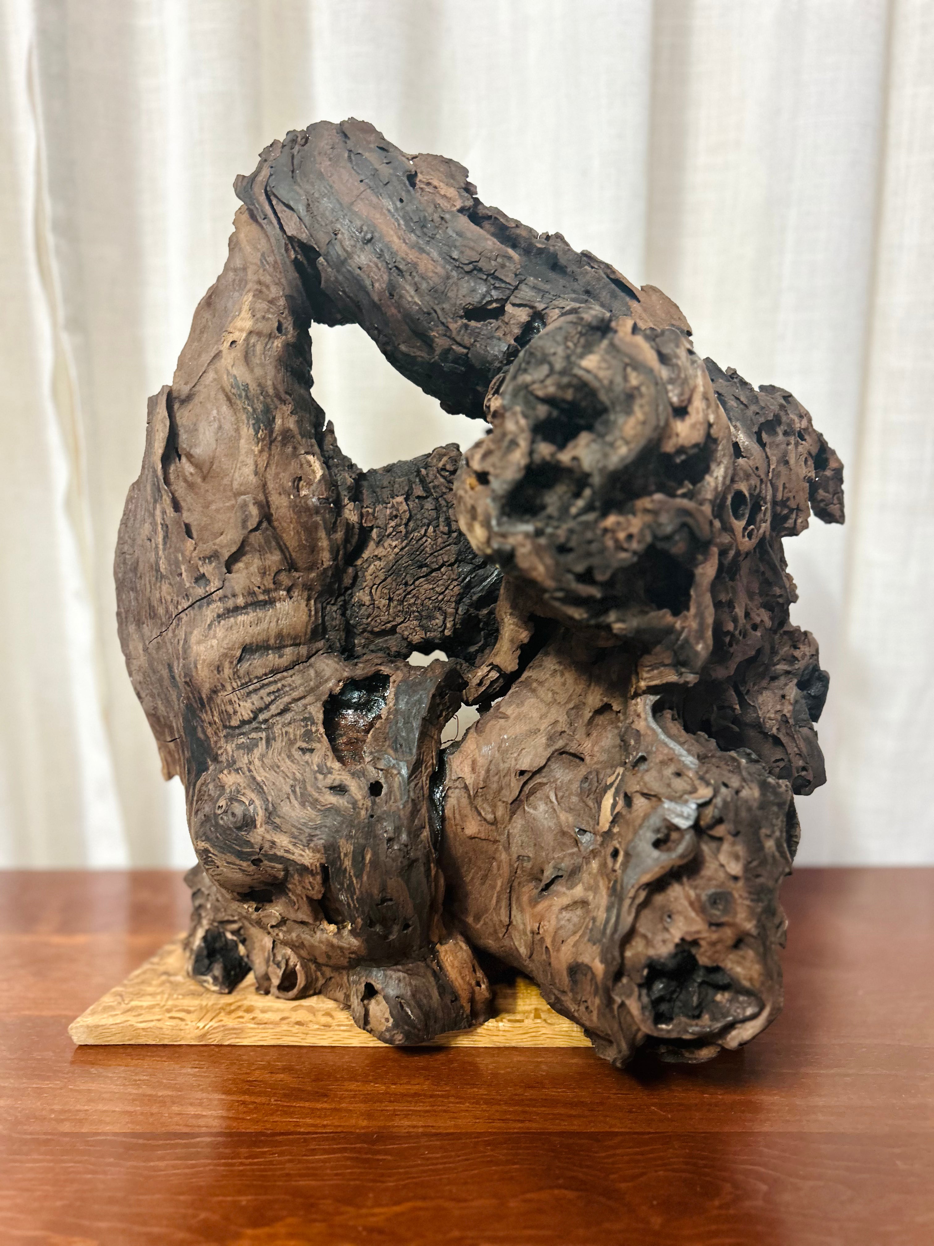 Live Edge Walnut Sculpture with Copper Tree