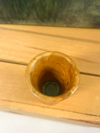 Handcrafted Maple Burl Wood Shot Glass Rustic Natural Grain