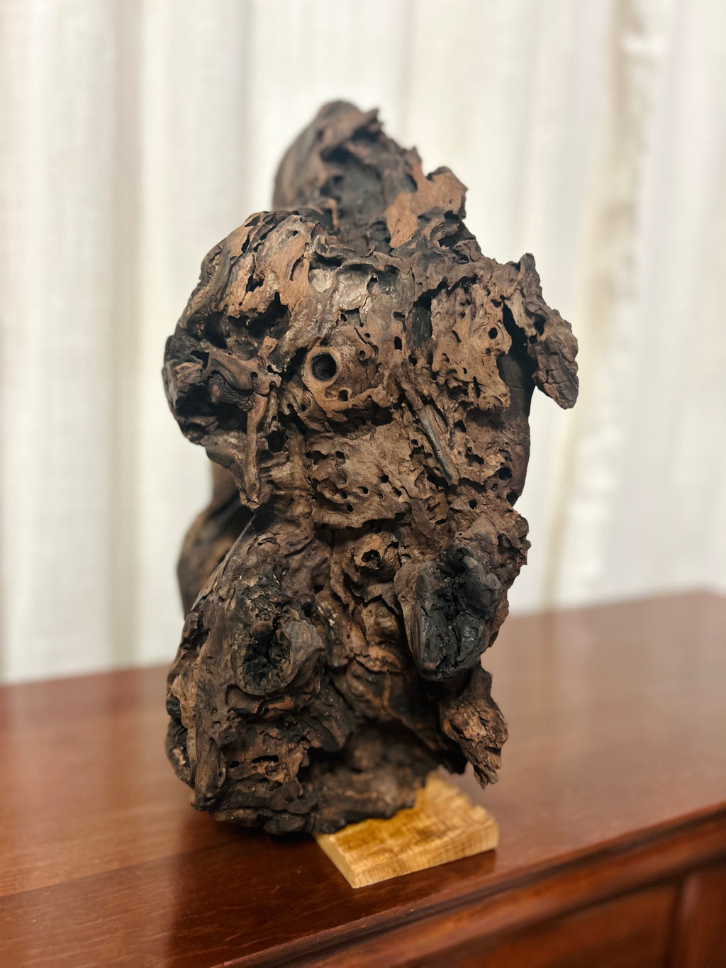 Live Edge Walnut Sculpture with Copper Tree