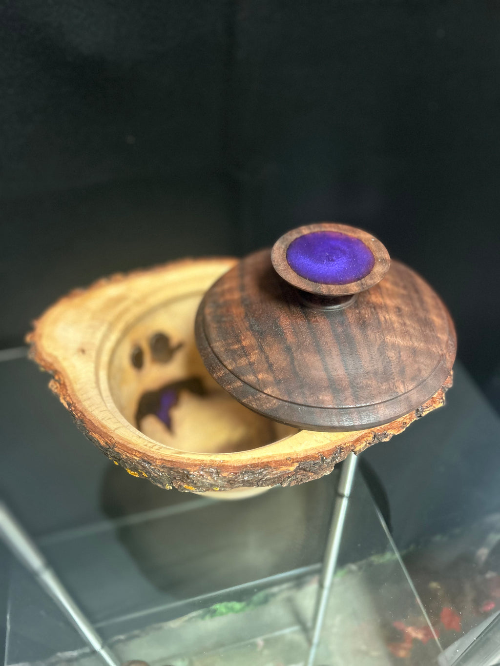 Live Edge Oak Burl Bowl with Walnut Lid