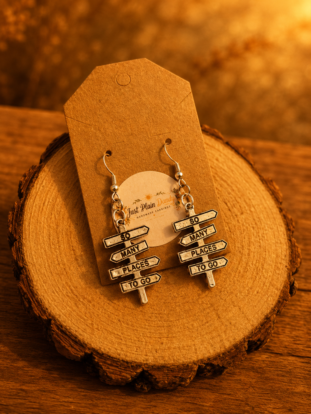 “So Many Places To Go” Travel Sign Dangle Earrings